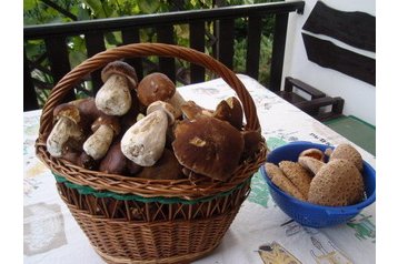 Cehia Bungalov Dobronice u Bechyně, Exteriorul